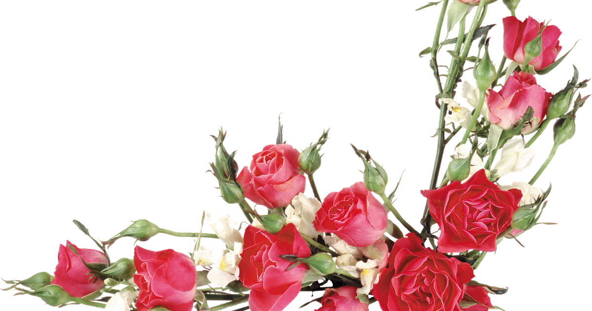 Barras - Flower Bouquet Vector Png (1200x630)