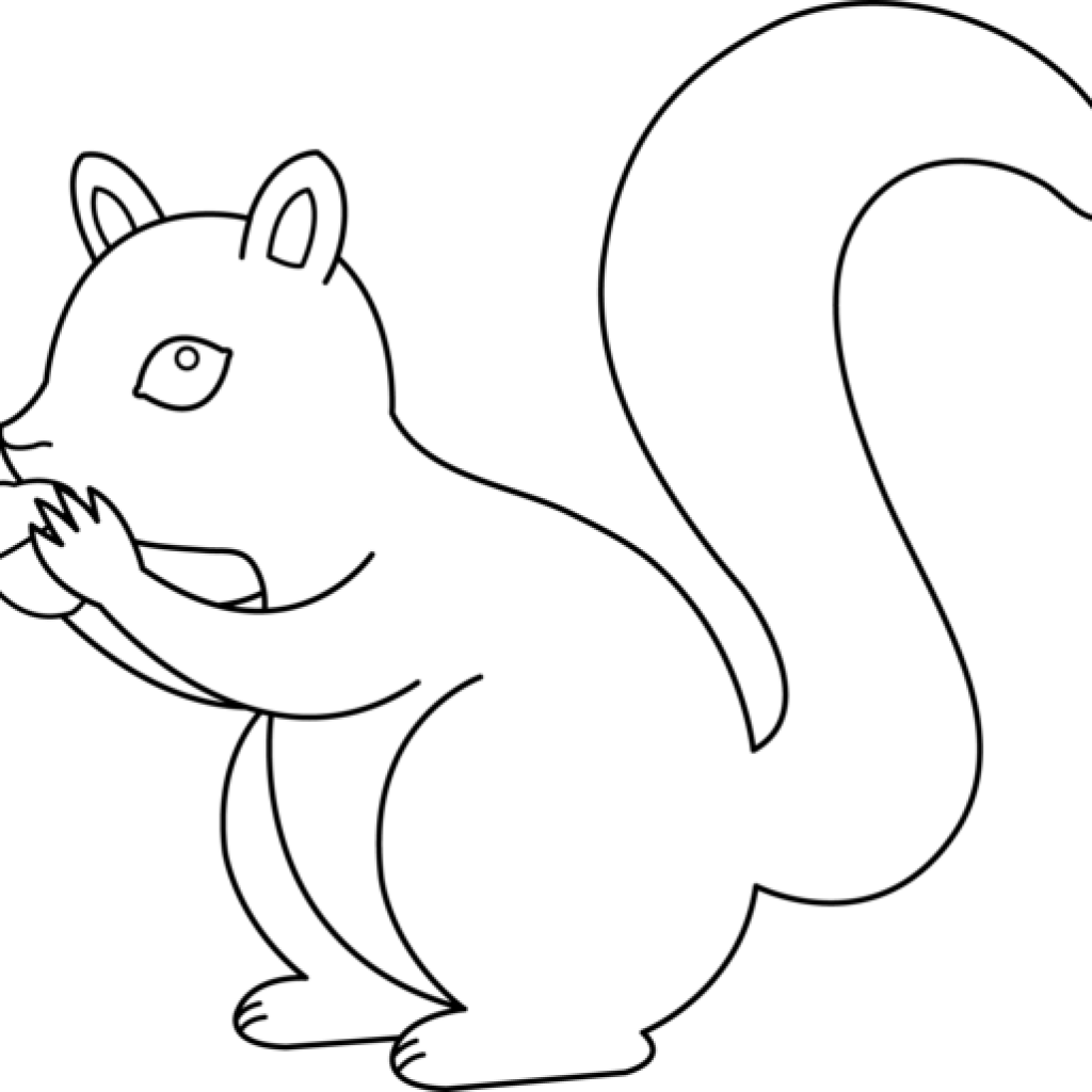 Squirrel Clipart Black And White Free Images Clipartix - Clip Art (1024x1024)