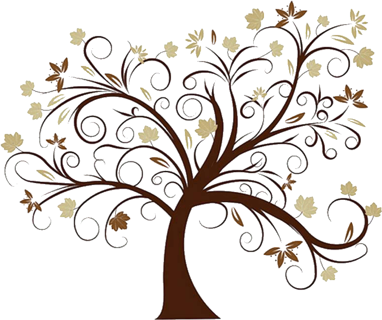 Whimsical Tree Clipart Free Download Best Whimsical - Family Tree Roots Background (800x678)