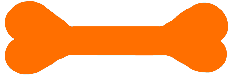 St Simons Dog Trainer - Dog Training (967x335)