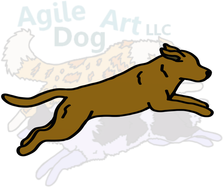 Picture - Smooth Collie (800x800)