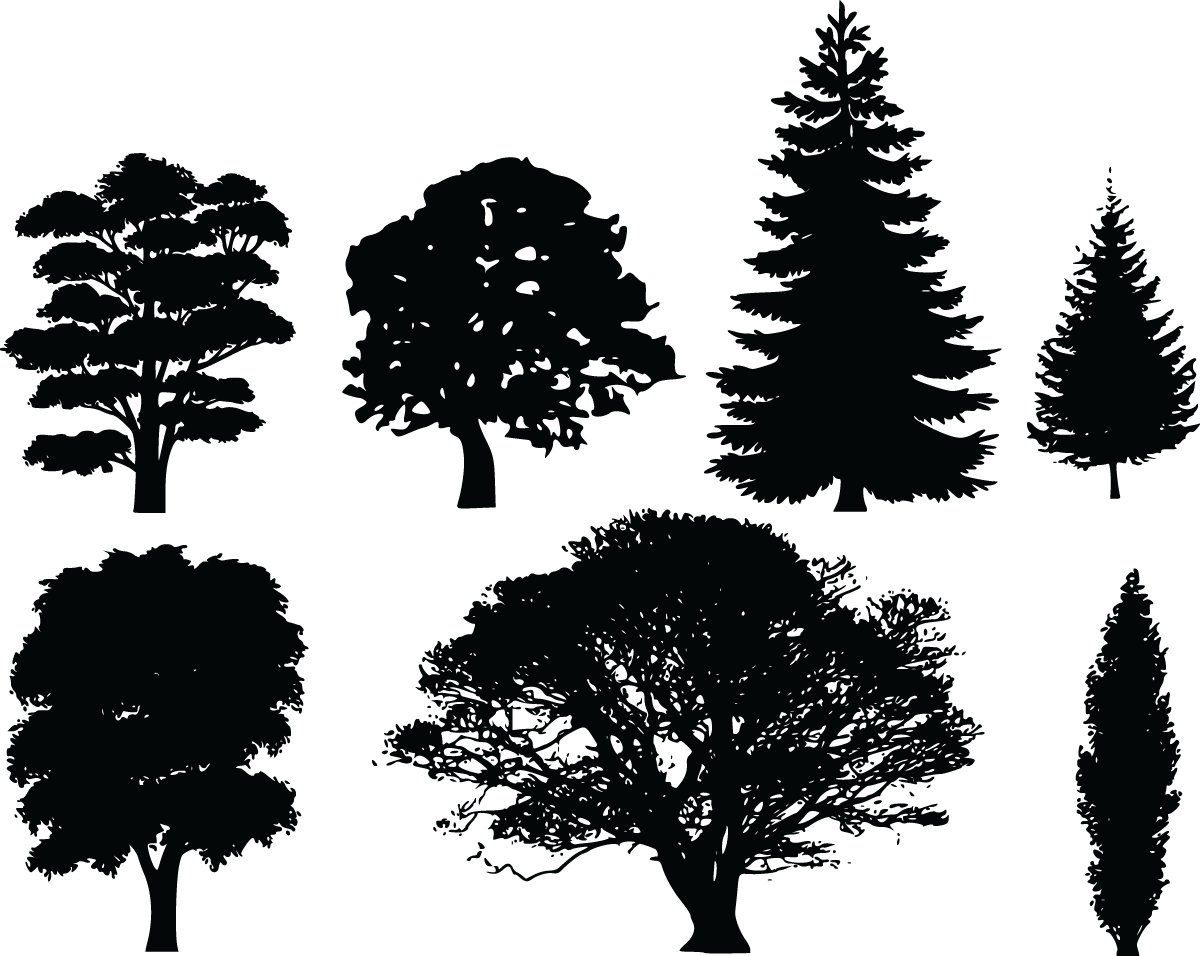 Free Clipart Of 7 Tree Silhouettes - Draw Tree Silhouette (1200x956)