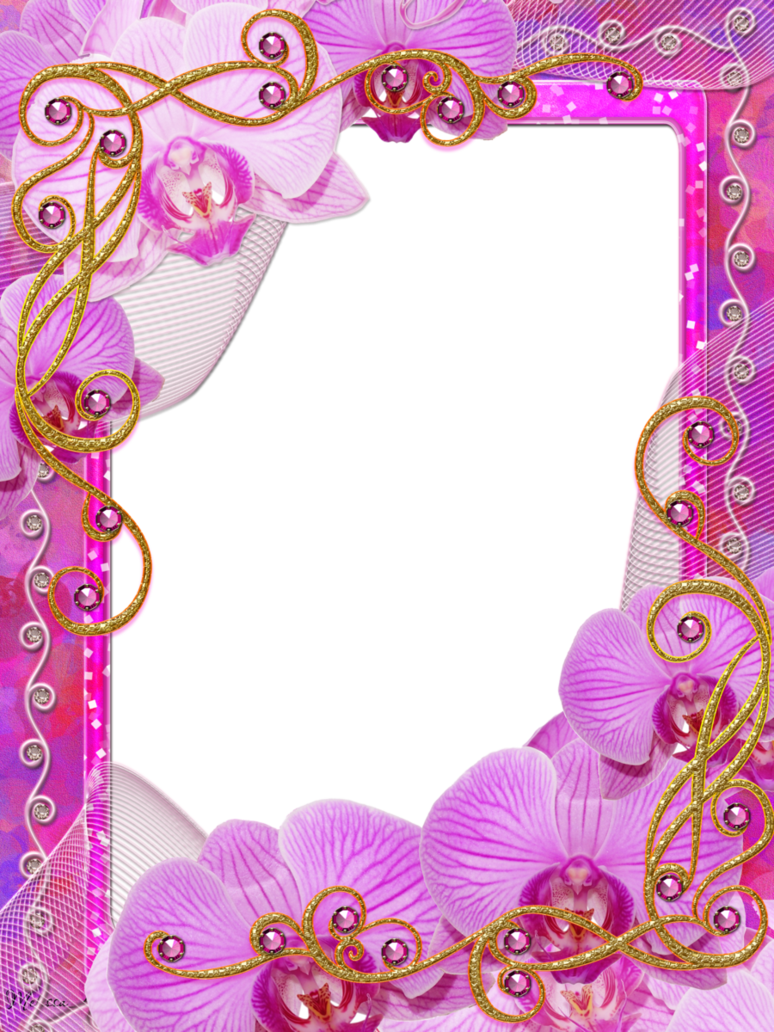 Frame Charm Of Orchids Png By Melissa-tm On Deviantart - Photography (774x1032)