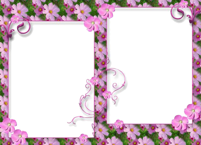 Love Frame Transparent Png - Lovely Frames Png (640x463)