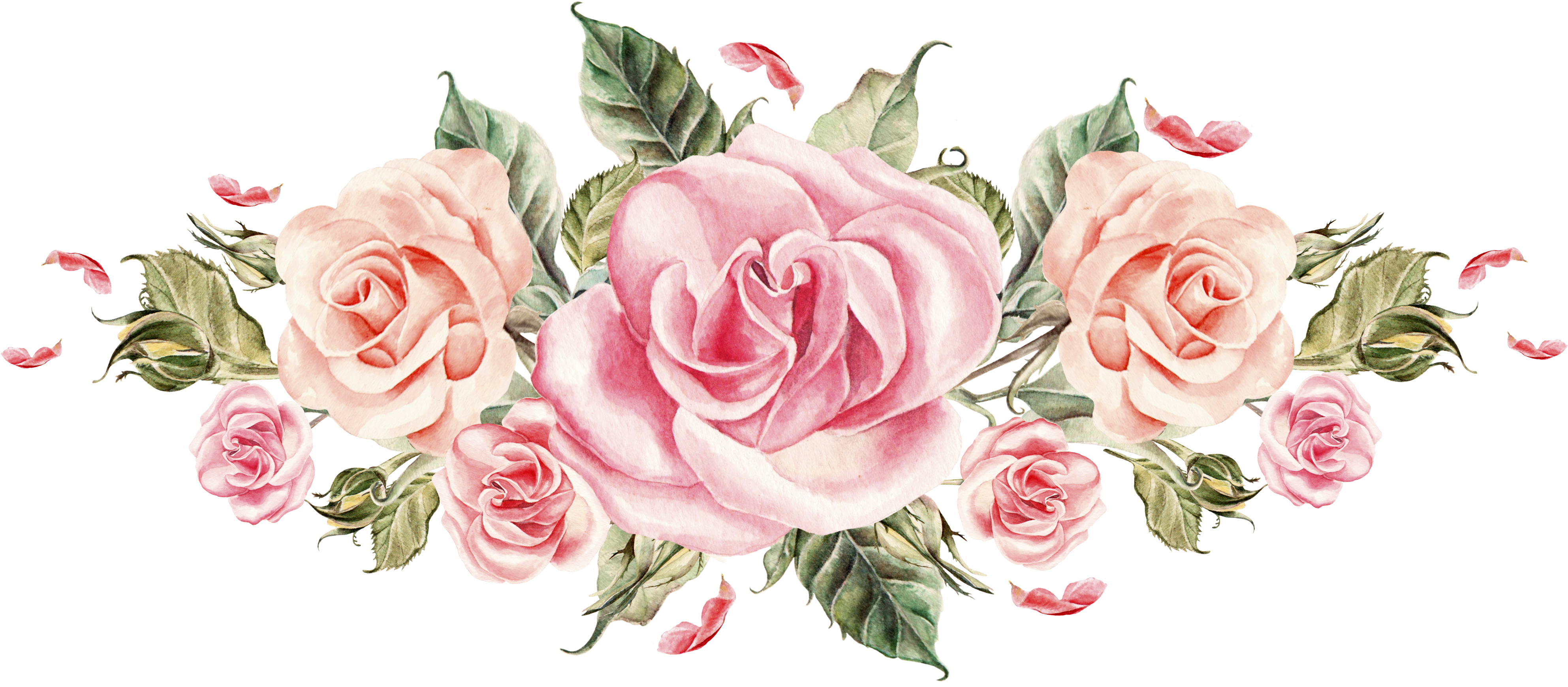 Bouquet Of Roses, Material Flowers, Cartoon Flowers, - Watercolor Pink Roses Png (3997x2674)