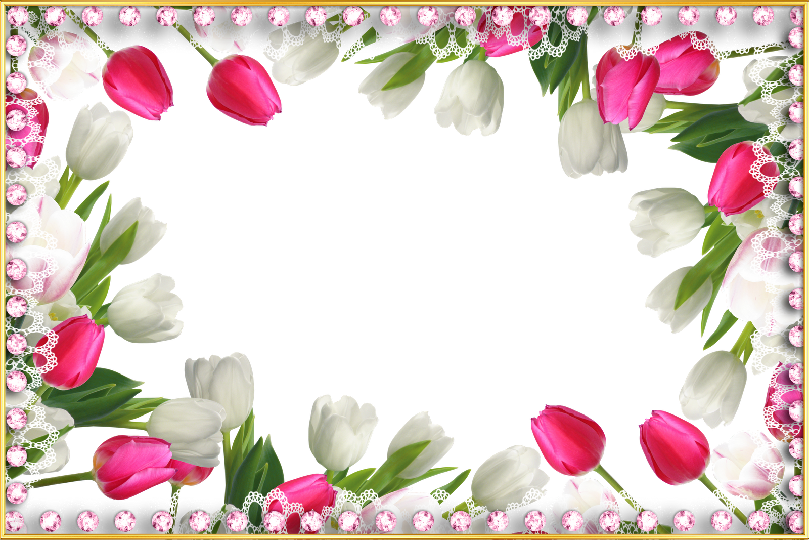 Seven - Beautiful Transparent Frame With Tulips (1600x1067)