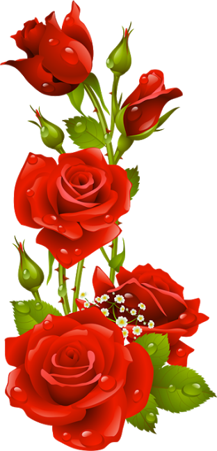 Google Feliz Ano Novo Www - Frame Red Flowers Png (312x647)