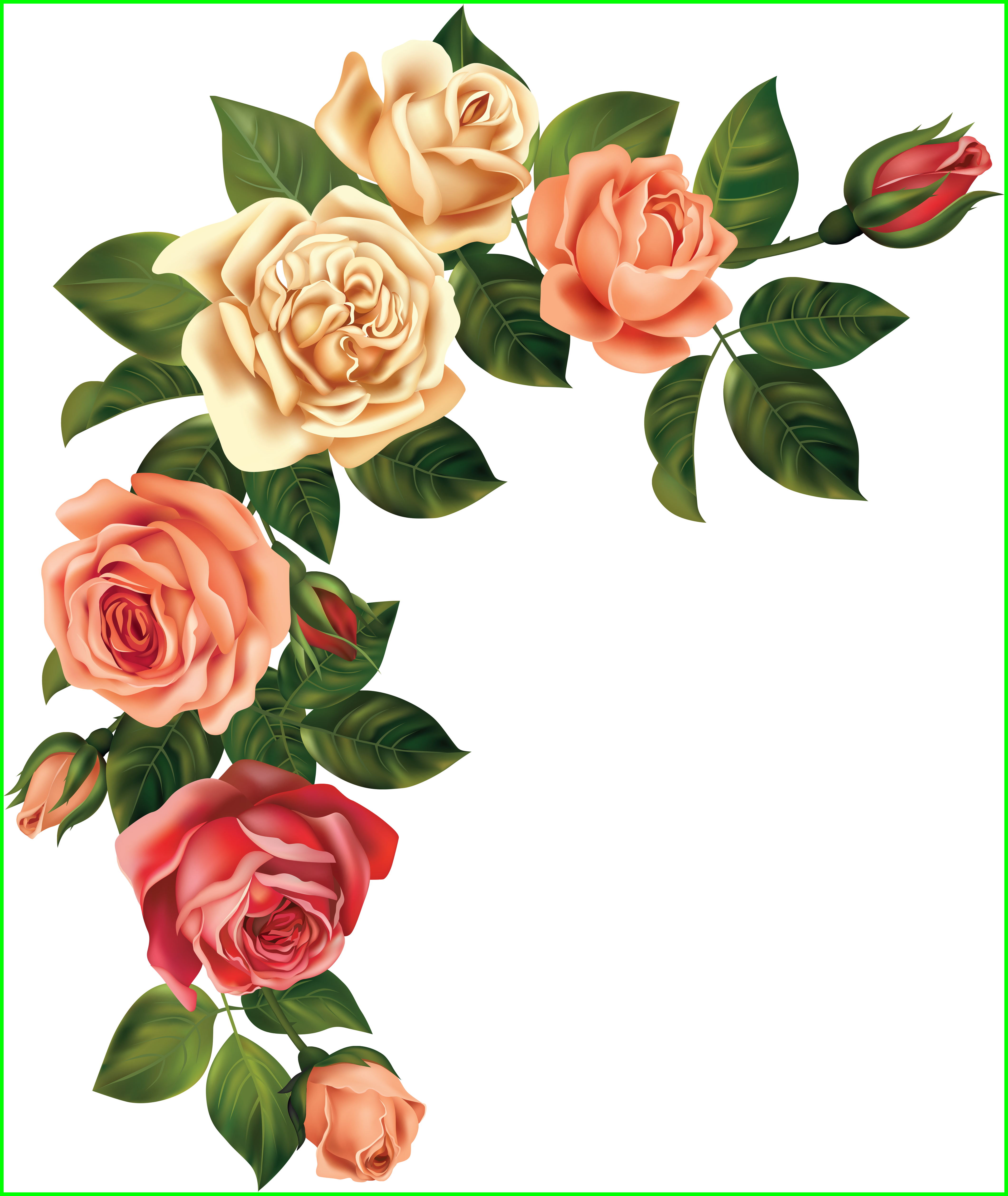 Astonishing Https Fotki Yandex Ru Get For Red Rose - Decoupage Flowers (4241x5030)