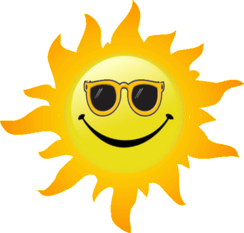 Summer Special Offer Logo (490x468)