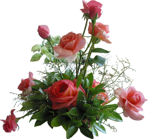 Rose Red Flower - Mensagens Com Imagens Gifs (476x452)