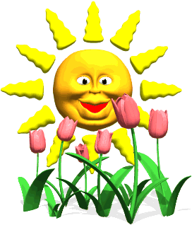 Sun Animations (350x350)