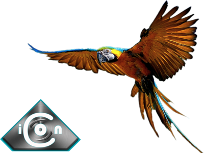 Psd Detail - Macaw (400x300)