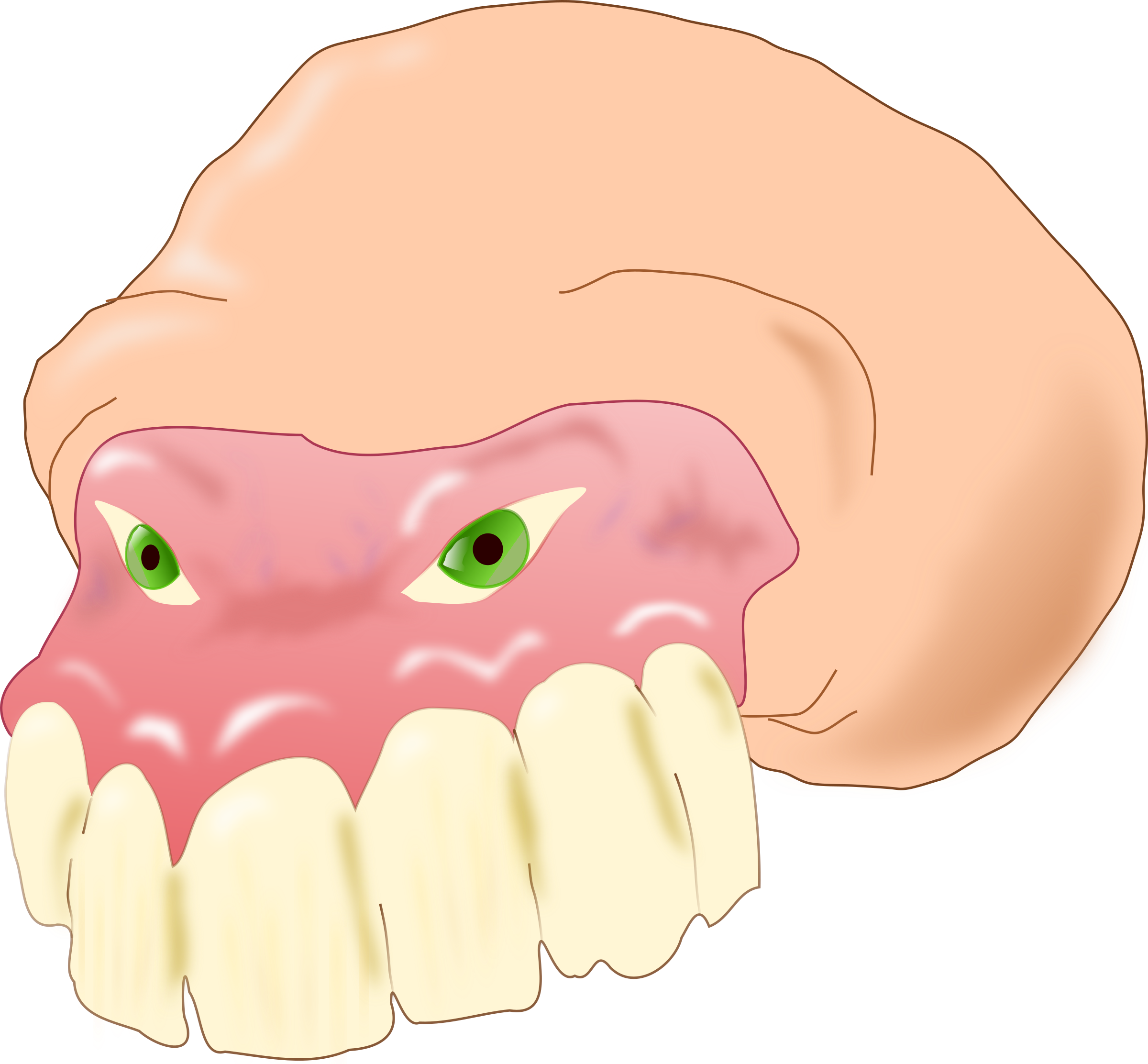 Toothbrush Clip Art Download - Jaw (2400x2224)