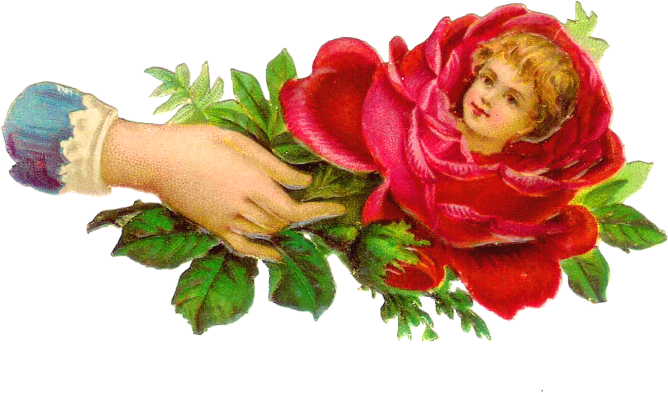 Harrington - Hand With Rose Png (1600x1004)