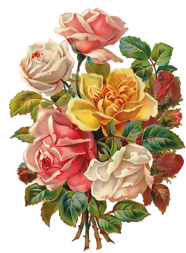 Vintage Roses Scrap - Bouquet Of Flowers Art (796x1024)