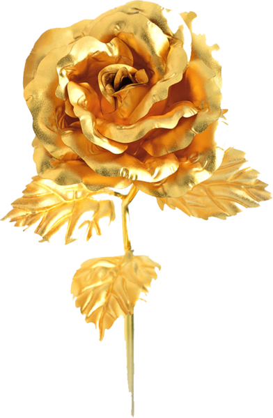 Gold Rose - Golden Rose Png (392x600)