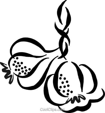 Garlic Cloves Royalty Free Vector Clip Art Illustration - Garlic Cloves Royalty Free Vector Clip Art Illustration (448x480)