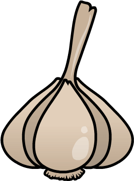 Garlic - Citrus × Sinensis (360x360)
