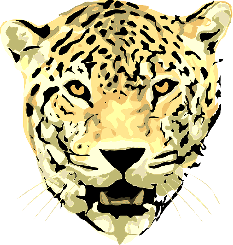 Wild Heads Silhouette Of Lion Head Colouring Pages - Leopard Clipart Png (800x843)