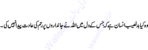 01 2010 05 09 - Calligraphy (600x350)