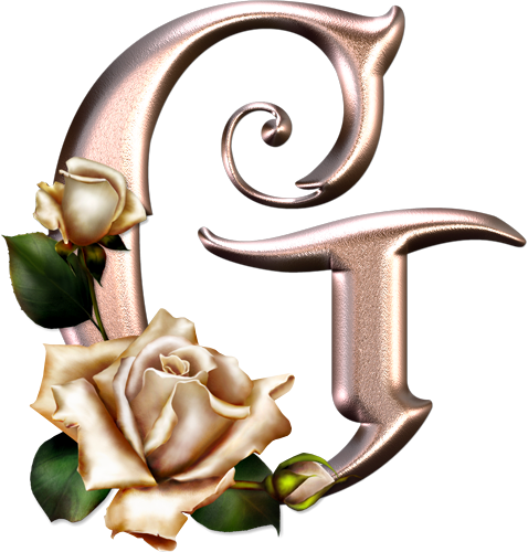 Alfabeto Rosa Con Rosas - Alphabet (478x500)