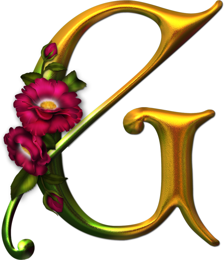 Alfabeto Decorativo Flores Png - صور حرف (744x864)