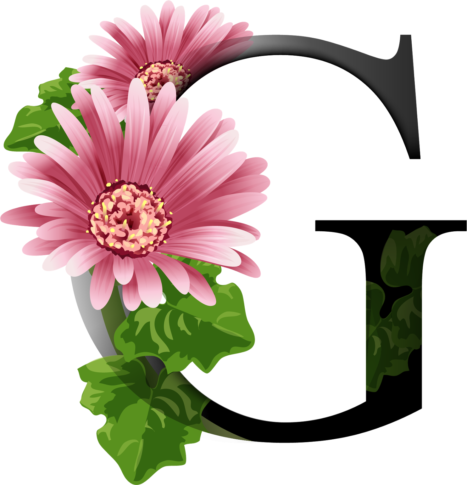 Alfabeto Decorativo Flores Png - Flower Images G (1600x1540)