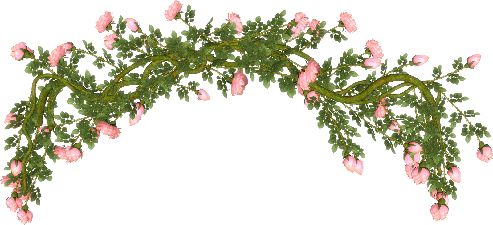 Rosas Rojas Png - Rosas Rojas Png (1600x731)