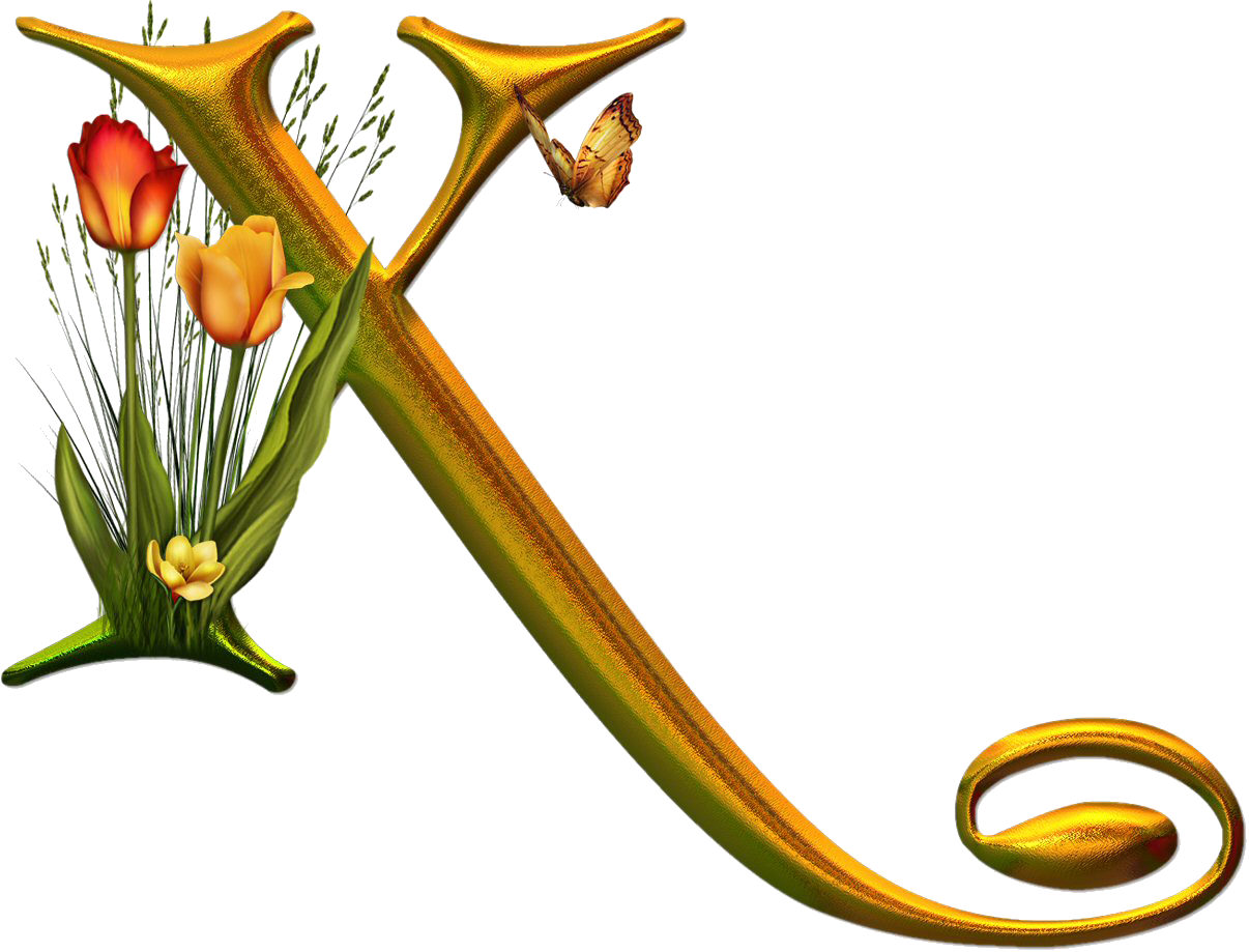 Bello Alfabeto Con Flores Y Mariposas - Dekorjinal Harf Dekoratif Yastık Kılıfı - 40x40 Cm (1206x919)