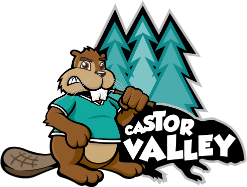 Clubs And Activities - Beaver (792x612)