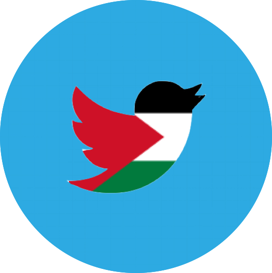 An Examination Of Media Trends In The Palestinian Web - An Examination Of Media Trends In The Palestinian Web (533x535)