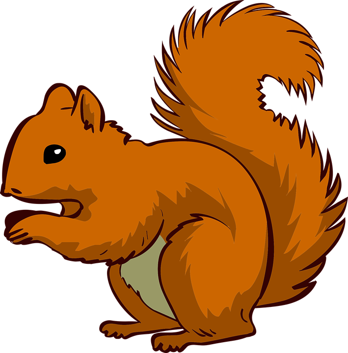 Red Squirrel Clipart Graphic - Squirrel Clipart (709x720)