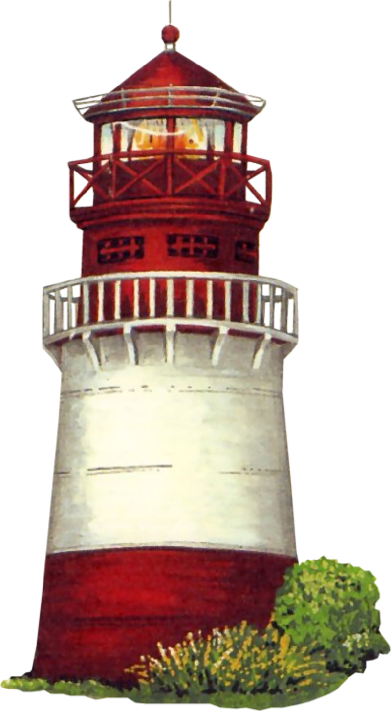 E0642cea - Tube Coquillage (800x1455)