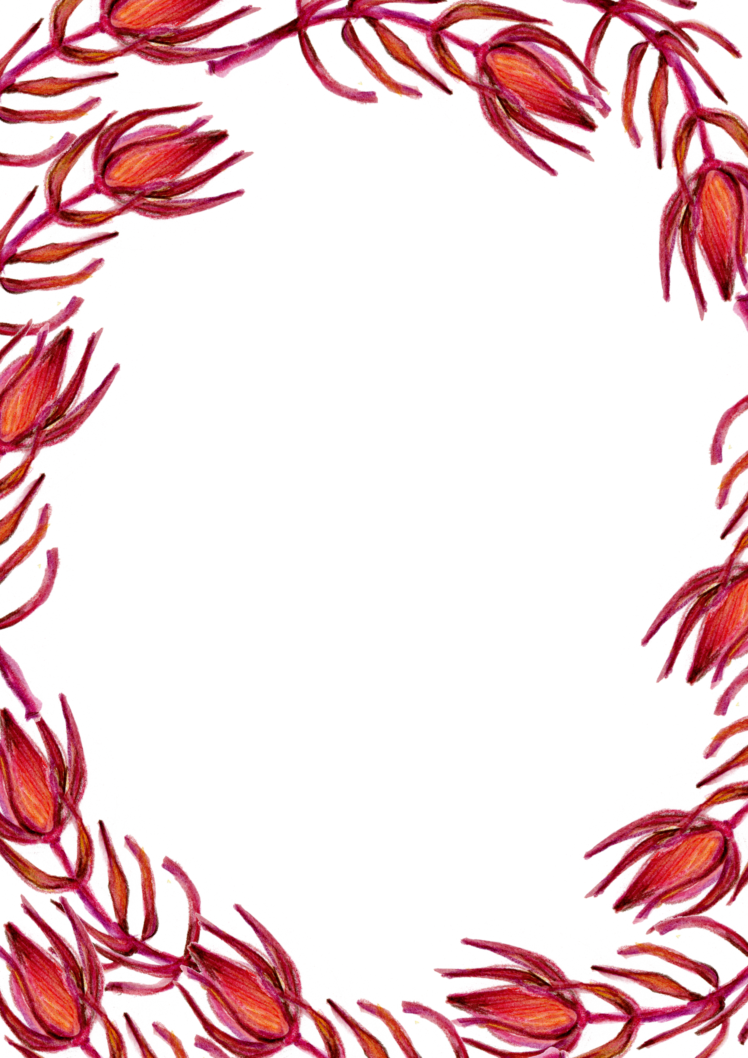 Red Flower Clip Art - Red Floral Border Design (2480x3508)