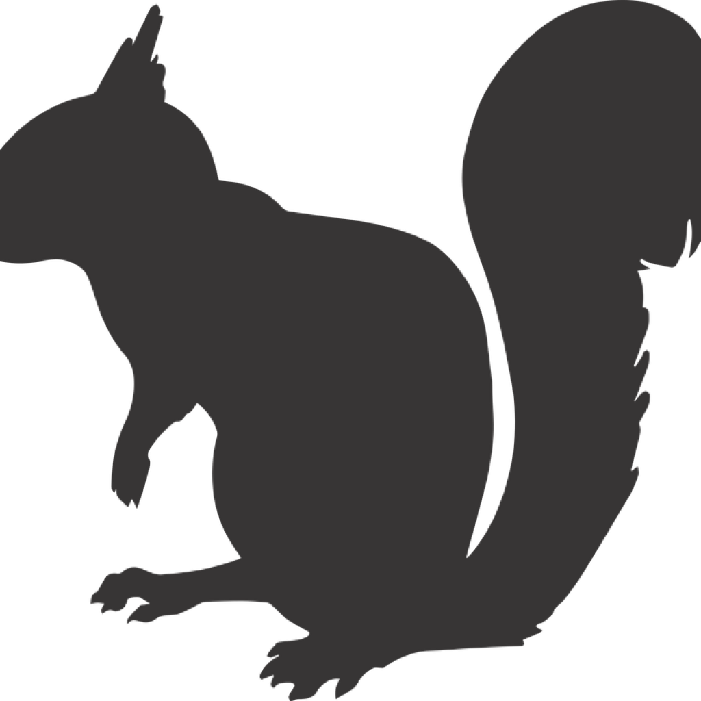 Squirrel Silhouette Animal Free Vector Graphic On Pixabay - Animal Silhouette (1024x1024)