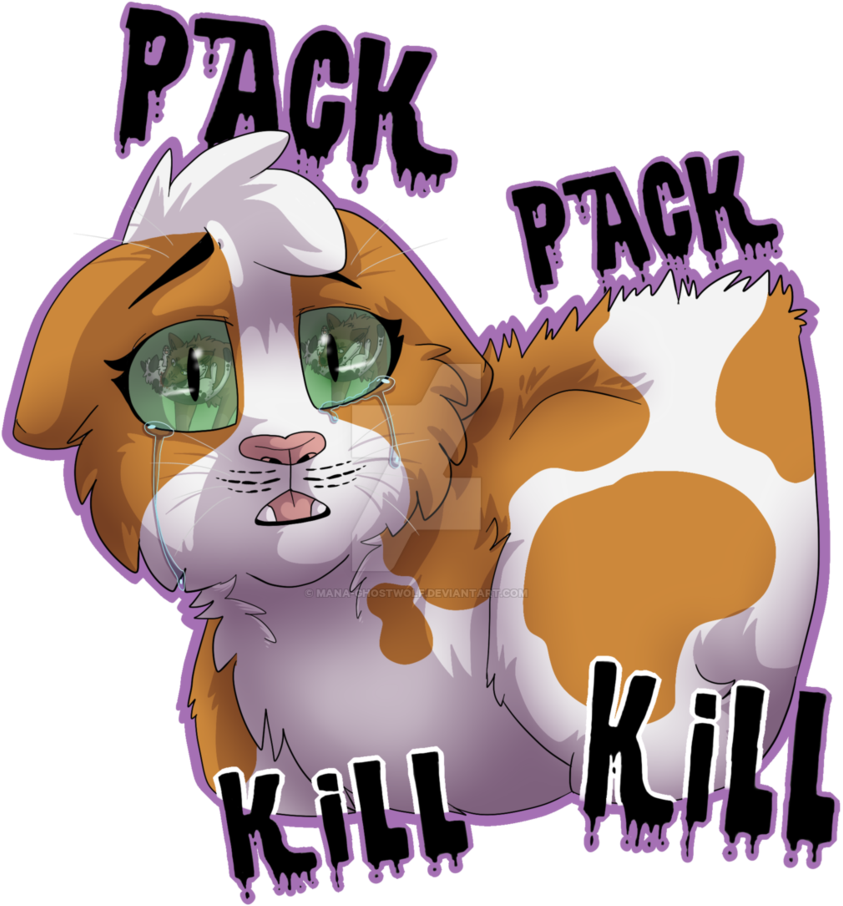 T Shirt Pack Pack Kill Kill By Warrior-junkie - T-shirt (855x935)
