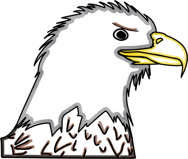 Bald Eagle Head - Bald Eagle Head (600x507)