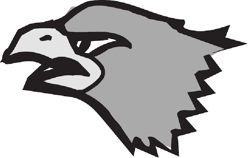Head, Brown, Cartoon, Eagle, Bird, Animal, Beak - Head, Brown, Cartoon, Eagle, Bird, Animal, Beak (800x511)