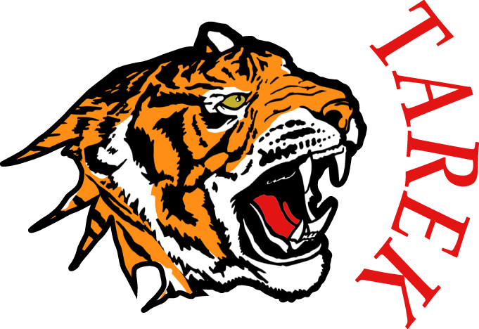 Graphic Design And Illustration For Website Use, Logo - Siberian Tiger (681x468)