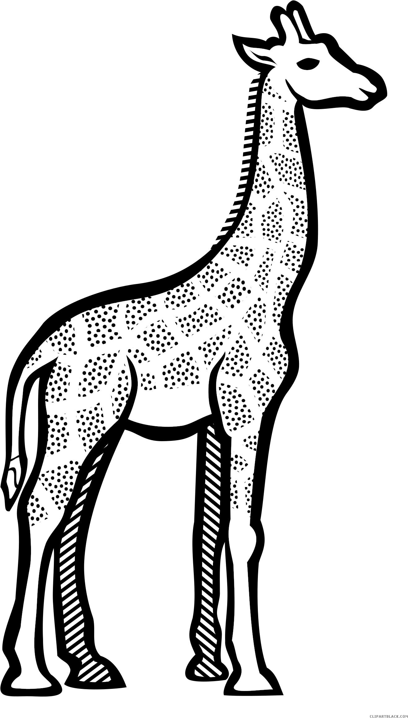 Black And White Giraffe Animal Free Black White Clipart - Giraffe Line Art (1404x2400)
