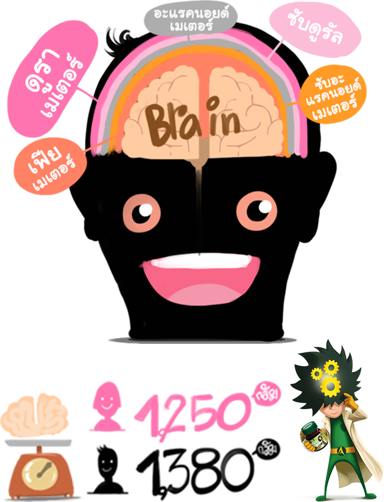 1,250 กรัม ในเพศหญิง และ 1,380 กรัมในเพศชาย - Cartoon (777x1016)