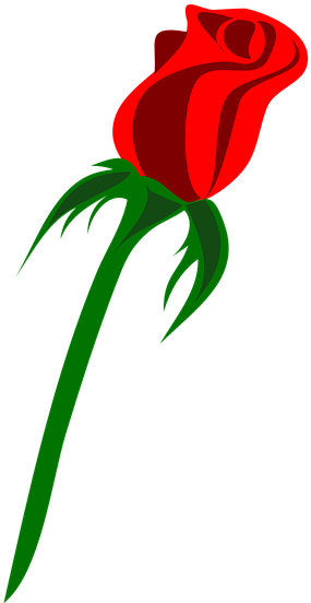 Rose Vector Art 21, - Red Rose Png Cartoon (360x720)