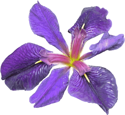 A Prosperous Griffin - Educational Prosperity Initiative (512x512)