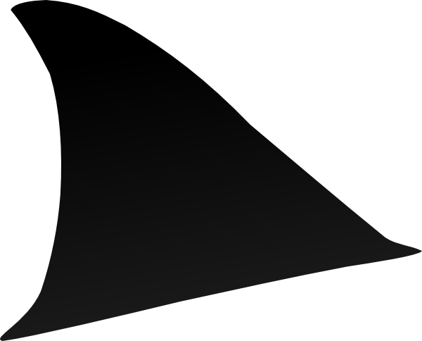 28 Collection Of Shark Fin Clipart - Shark Fin Clipart (728x587)