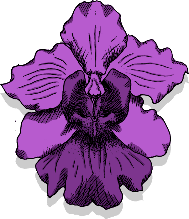 Please Rotate Your Device To Portrait Orientation - Christmas Orchid (1200x700)