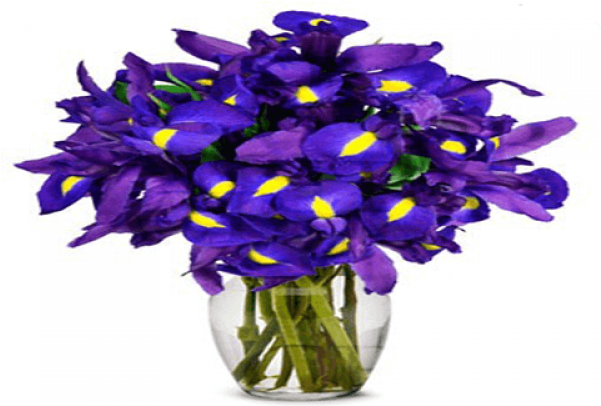 Beautiful Blue Iris Vase - Vase (600x710)