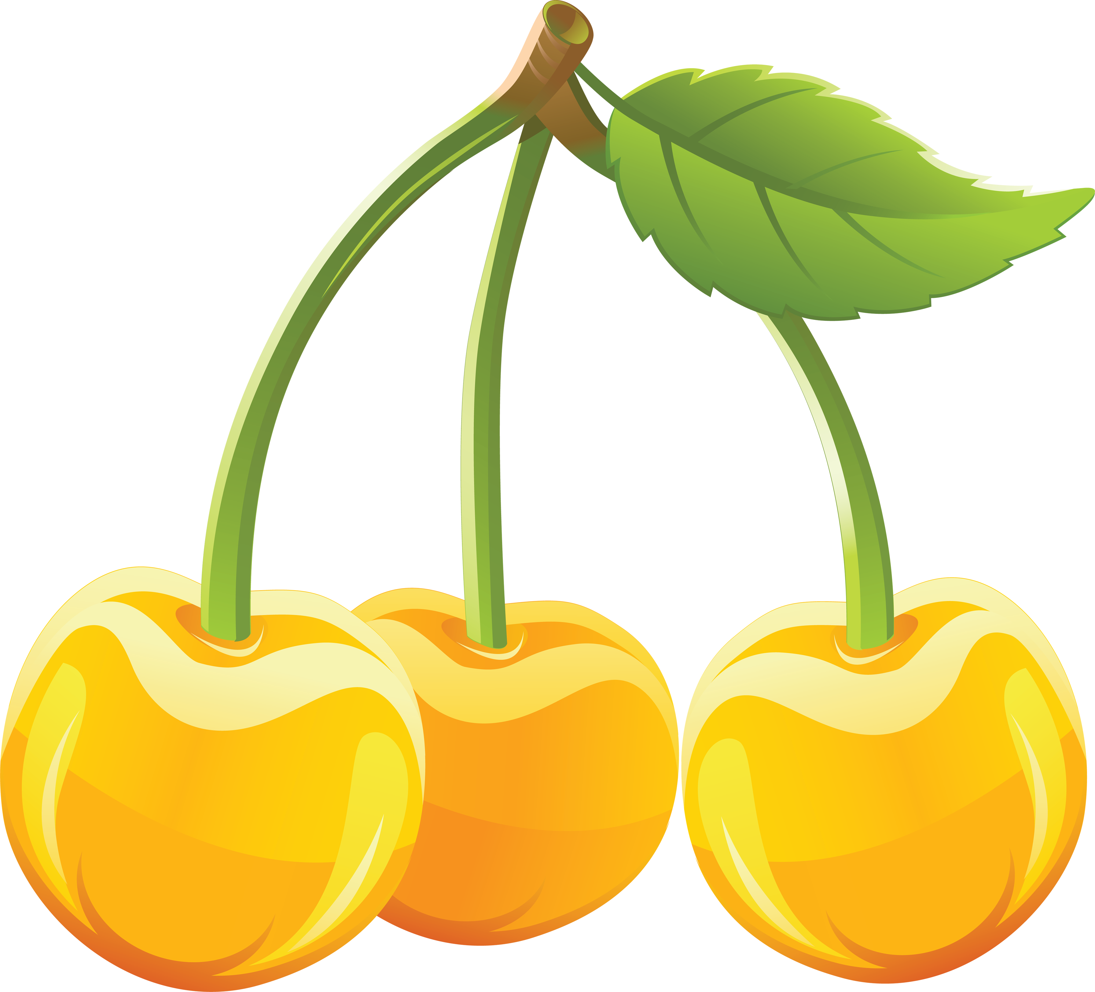 Cherry Png Image - Yellow Cherry Png (3583x3247)