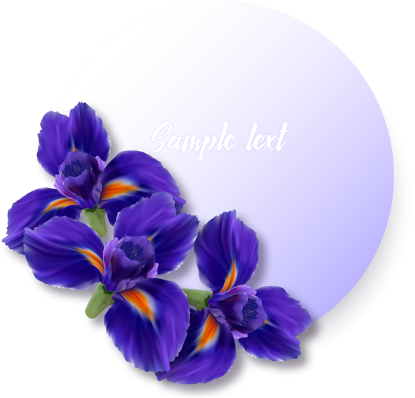 Label Or Sticker With Realistic Iris Flowers, Iris, - Psd (640x640)