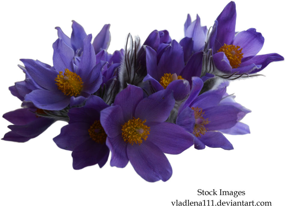 Spring Flowers Png 1 By Vladlena111 - Bouquet (1024x830)
