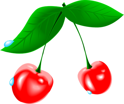 Cherry, Fruit, Waterdrops, Fresh - Cherry Cliparts (405x340)